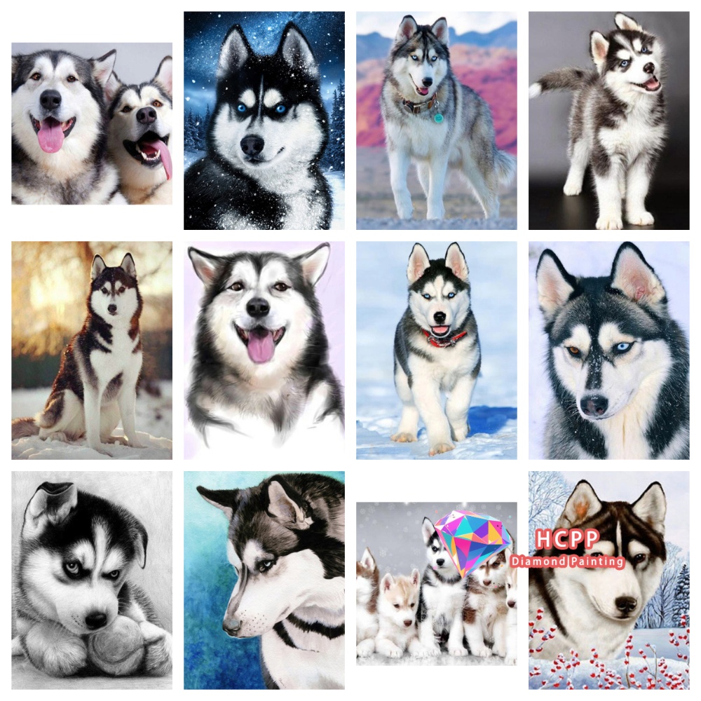 Hayvan Husky Resim Elmas Boyam - Embroidery Icon incelemesi ve fiyatı